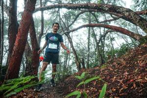 BIB: 
                            <button type="button" onclick="openModal(26343941)" class="btn btn-primary btn-sm float-right btn-popup" data-toggle="modal" data-target=".modal-high-quality">
                        <i class="fas fa-shopping-cart"></i> Add to Cart
                    </button>
                                            <button type="button" onclick="isThisMe(26343941, true)" class="btn btn-success btn-sm float-right btn-popup btn-isme hidden" data-toggle="tooltip" data-placement="bottom" title="นี่คือรูปของคุณใช่ไหม คลิกที่นี่เพื่อเอาเข้าอัลบั้ม">
                        <i class="fas fa-plus"></i> Add to album
                    </button>
                    <button type="button" onclick="isThisMe(26343941, false)" class="btn btn-warning btn-sm float-right btn-popup btn-isnotme hidden">
                        <i class="fas fa-ban"></i> Remove from album
                    </button>